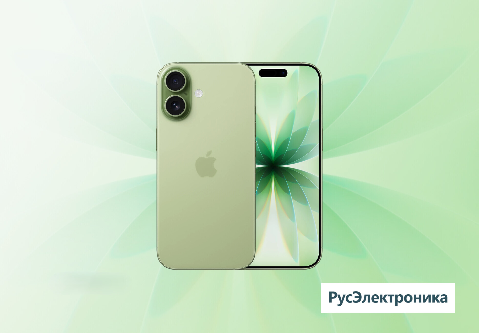 Телефон Apple iPhone 17 256 ГБ, eSim (электронная SIM-карта), цвет: шалфейный (Sage)