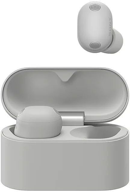 Наушники Sony WF-1000XM6, серебристый (Silver)