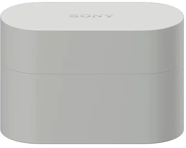 Наушники Sony WF-1000XM6, серебристый (Silver)