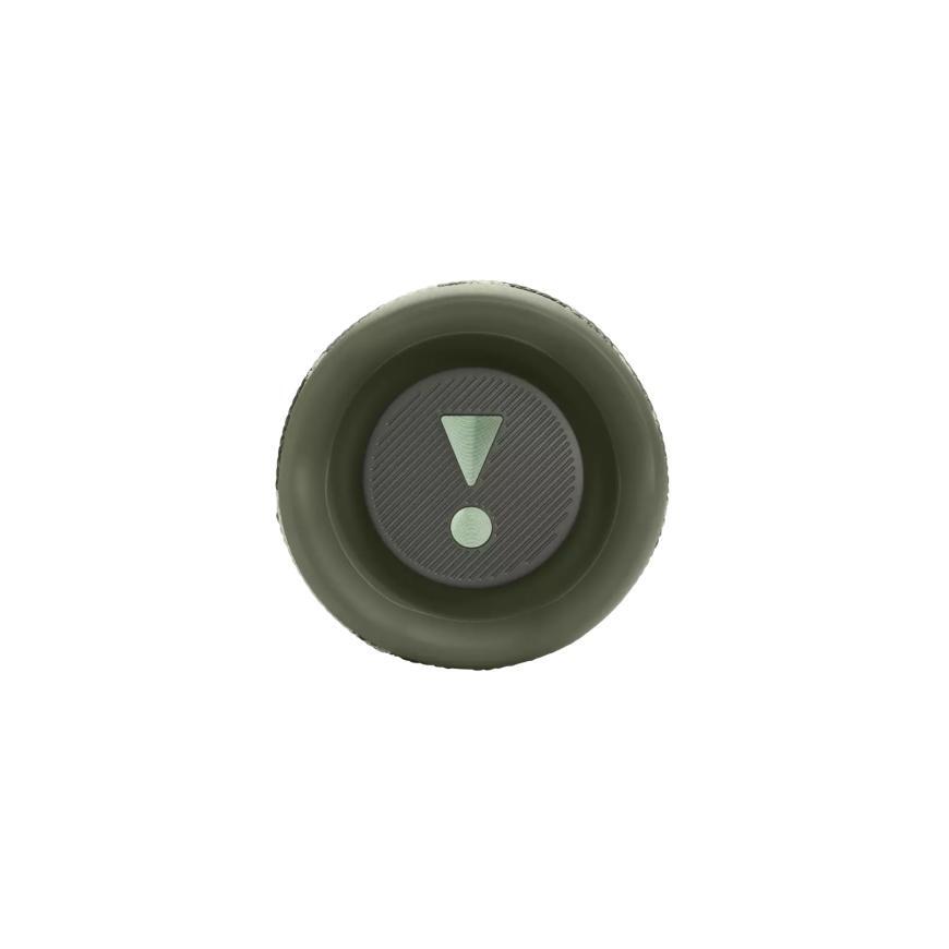 Портативная акустика JBL Flip 6, "камуфляж" (Squad)