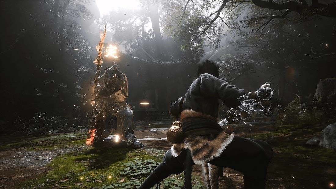 Игра Black Myth WuKong (PS5, русские субтитры)