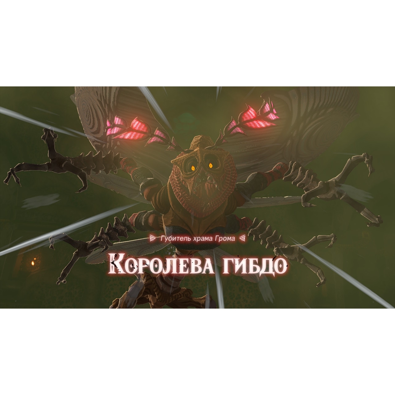 Игра The Legend of Zelda: Tears of the Kingdom (Nintendo Switch, полностью на русском)