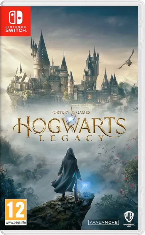 Игра Hogwarts Legacy (Nintendo Switch, русские субтитры)