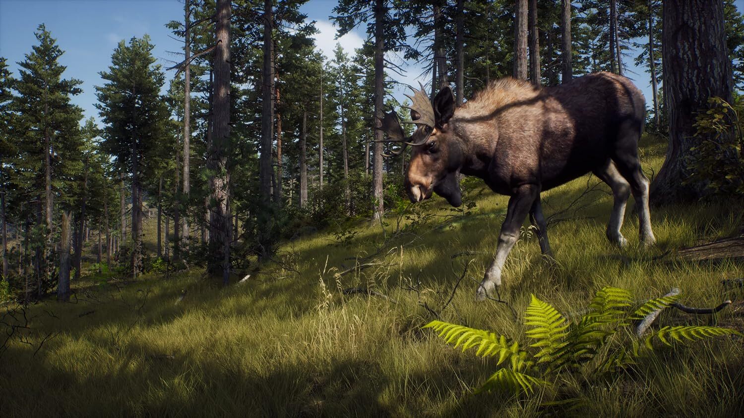 Игра Way of the Hunter (PS5, русские субтитры)