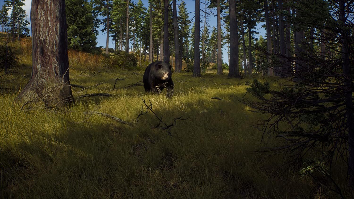 Игра Way of the Hunter (PS5, русские субтитры)