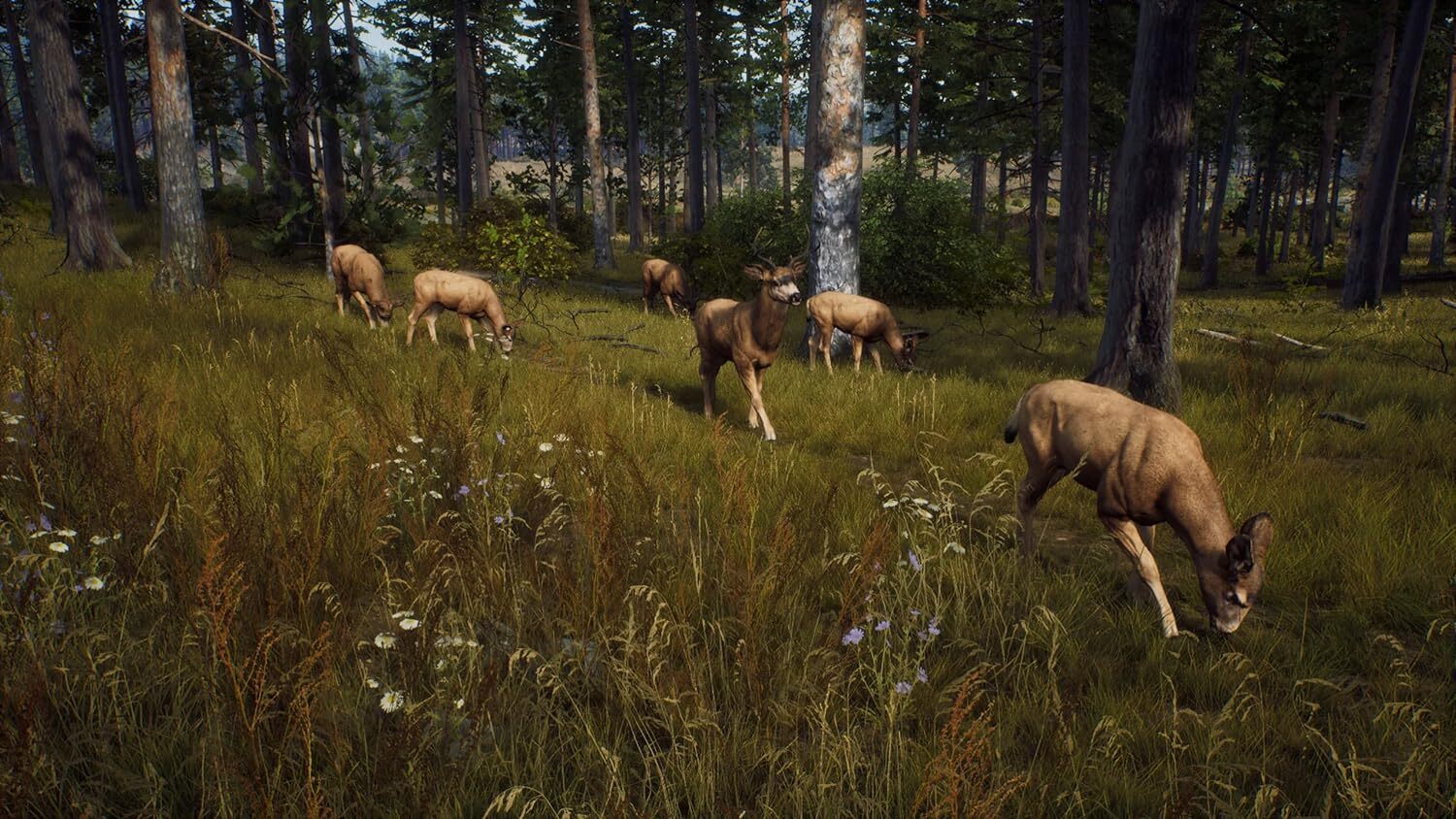 Игра Way of the Hunter (PS5, русские субтитры)