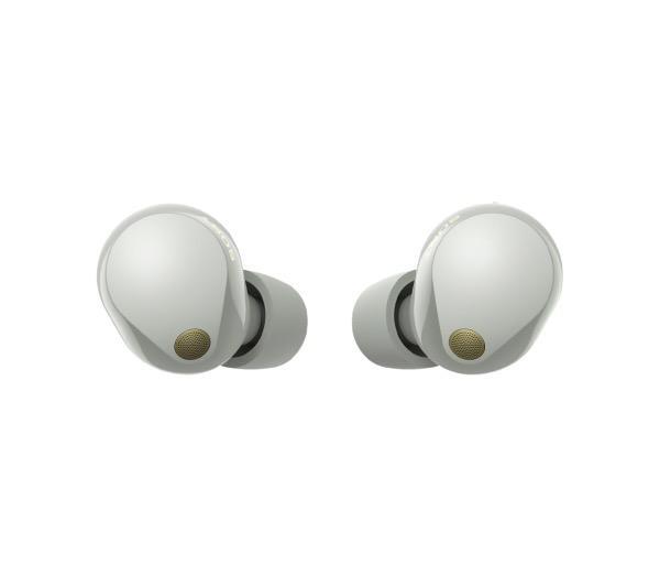 Наушники Sony WF-1000XM5, серебристый (Silver)